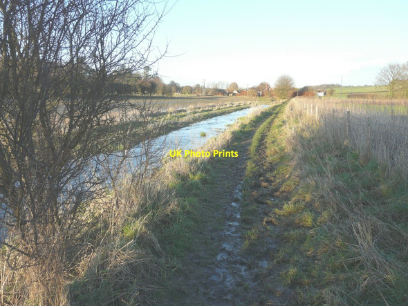Photo 6"x4" The Nail Bourne in flood Elham c2014