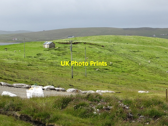 Photo 6"x4" Grazing above East Burra Firth East Burrafirth c2013