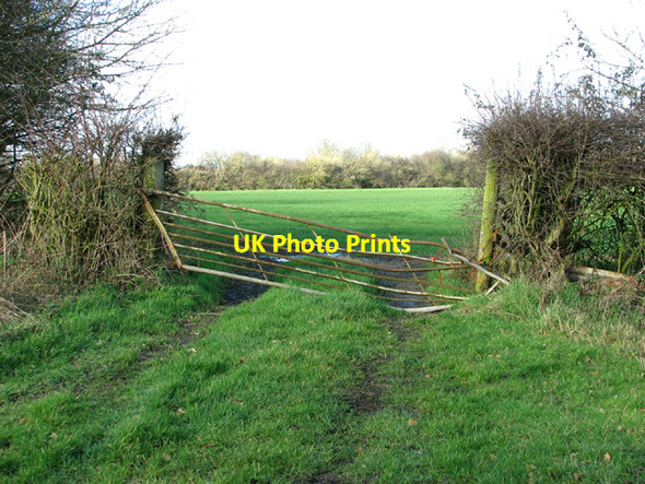 Photo 6"x4" Bent gate at Godfrey's Common Ilketshall St Andrew c2014
