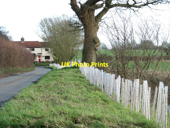 Photo 6"x4" Approaching Mill Lane from Low Road Great Common\/TM3787 c2014