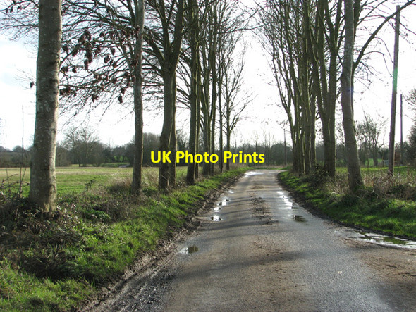 Photo 6"x4" Tooks Common Lane past Little Common Ilketshall St Andrew c2014