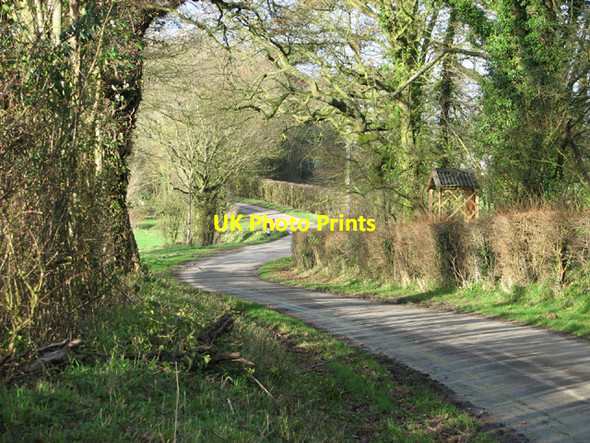 Photo 6"x4" Hall Road past Ringsfield Hall Ilketshall St Andrew c2014