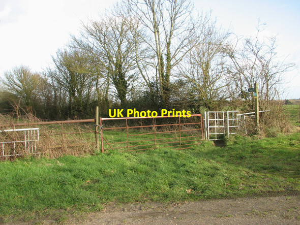 Photo 6"x4" Footpath to Barsham City Ringsfield c2014