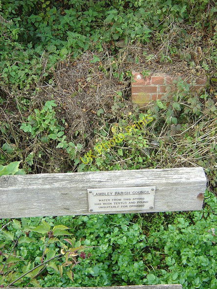 Photo 6"x4" Not drinking water Lambley\/SK6345 c2008