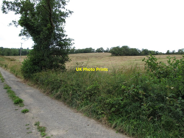 Photo 6"x4" Harvested hay field at Kilnacrew Canningstown c2013