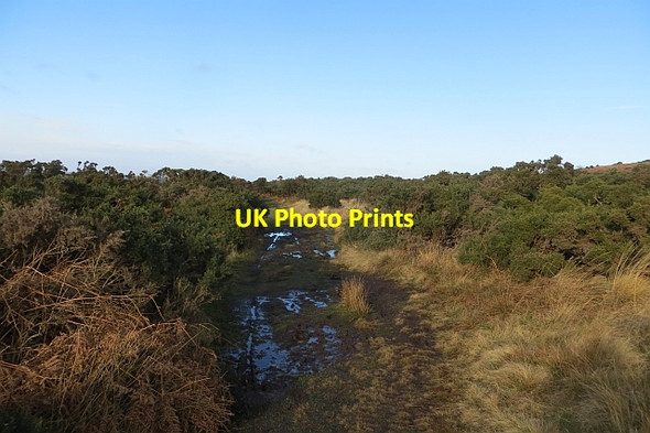Photo 6"x4" Path, Greensheen Hill Holburn c2014 P1