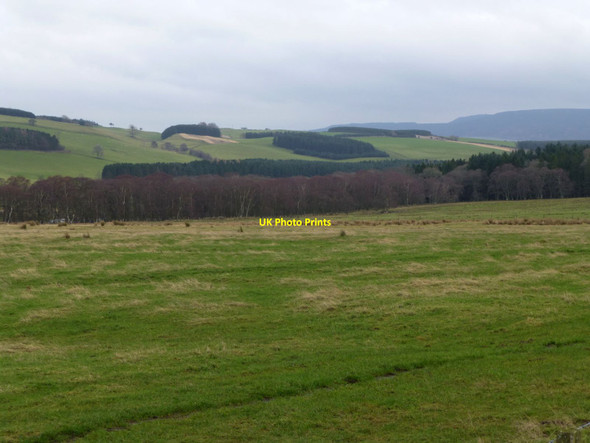 Photo 6"x4" Dueshill Wood Holystone c2014