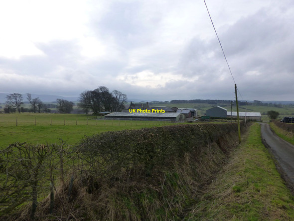 Photo 6"x4" Low Burradon Burradon\/NT9806 c2014