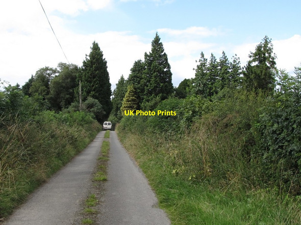 Photo 6"x4" Tree lined minor road at Glasdrumman Madabawn c2013