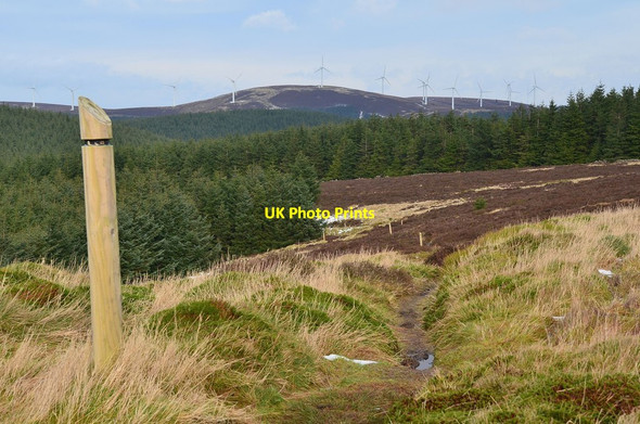Photo 6"x4" Tower Trail and turbines, Dunslair Heights Williamslee c2014