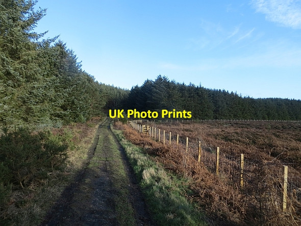 Photo 6"x4" Track, Holburn Moss Holburn c2014