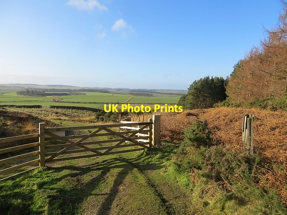 Photo 6"x4" Gate near Holburn Holburn c2014