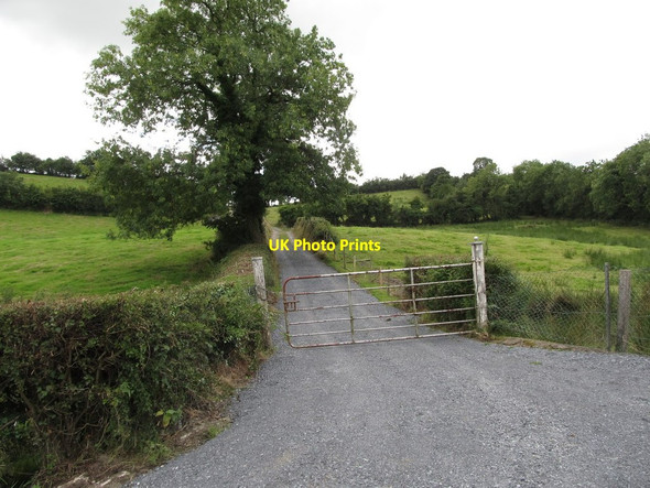 Photo 6"x4" Farm access lane at Glasdrumman Madabawn c2013