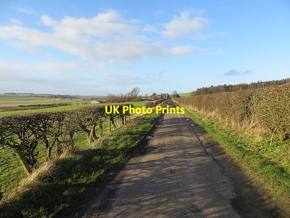 Photo 6"x4" North Lyham Greendykes\/NU0628 c2014