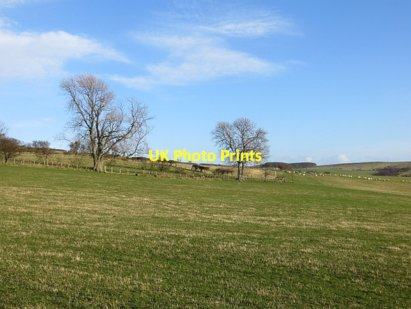 Photo 6"x4" Grassland, Lyham Greendykes\/NU0628 c2014