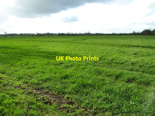 Photo 6"x4" Fields west of Butt's Road Ilketshall St Lawrence c2014