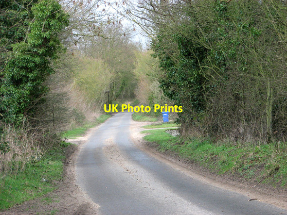 Photo 6"x4" View north along Cucumber Lane Weston\/TM4287 c2014