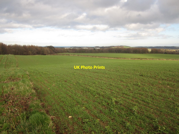Photo 6"x4" Looking east across arable land near Whitelee Belford\/NU1033 c2014