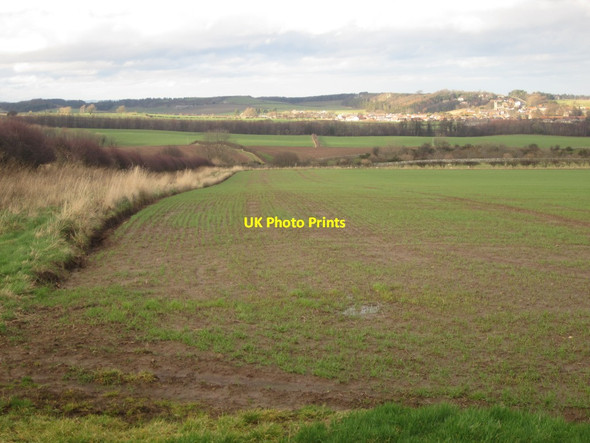 Photo 6"x4" Arable land near Old Mousen Belford\/NU1033 c2014