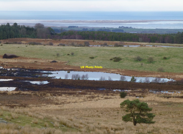 Photo 6"x4" Site of old coal workings Detchant c2014