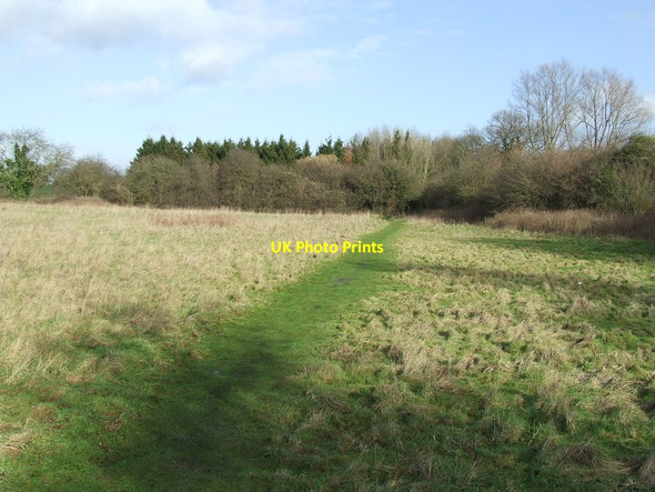 Photo 6"x4" Green Grassed Footpath Woodbridge\/TM2649 c2014
