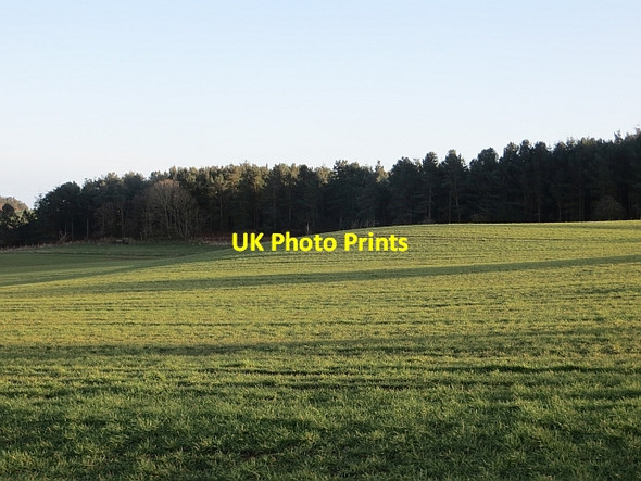 Photo 6"x4" Field above Detchant Detchant c2014