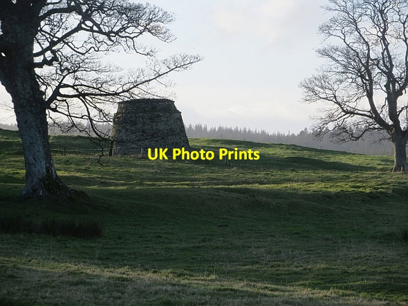 Photo 6"x4" Dovecote, Buckton Detchant c2014