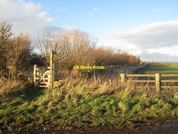 Photo 6"x4" Public footpath to Belford Belford\/NU1033 c2014