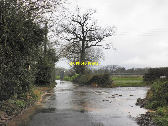 Photo 6"x4" Turning for Fulford Fulford\/ST2029 c2014