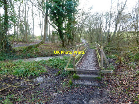 Photo 6"x4" Footbridge in Clandon Park (1) East Clandon c2014