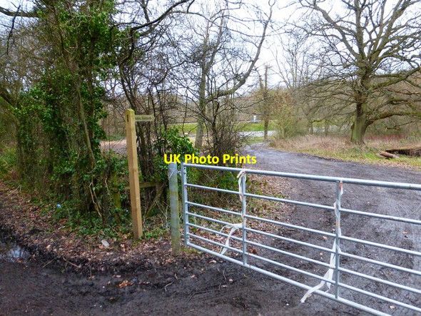 Photo 6"x4" Footpath leaves Ripley Road East Clandon c2014