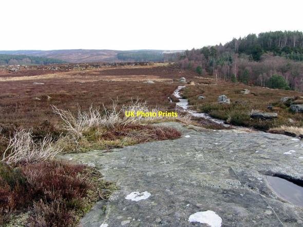 Photo 6"x4" Path above Rothbury towards Addycombe Rothbury c2014