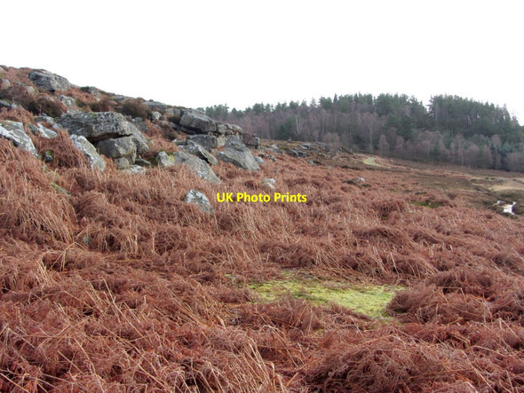 Photo 6"x4" Crags on moorland near head of Coplish Burn Rothbury c2014