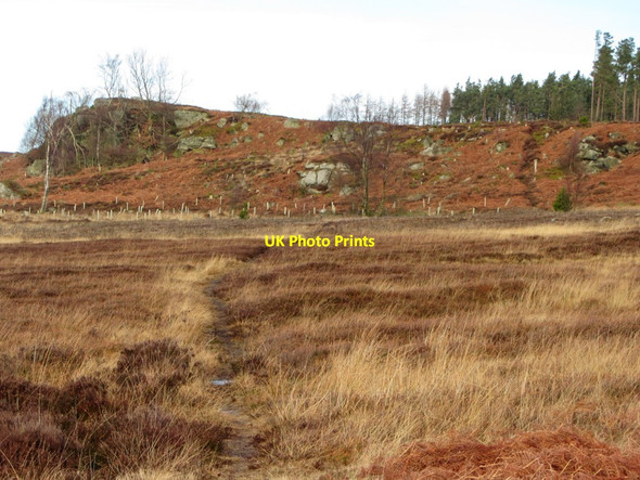 Photo 6"x4" Ridge on footpath to Cartington Rothbury c2014