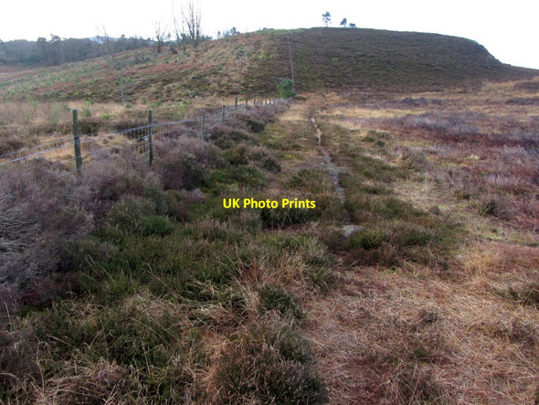 Photo 6"x4" Moorland north of Target Plantation Rothbury c2014