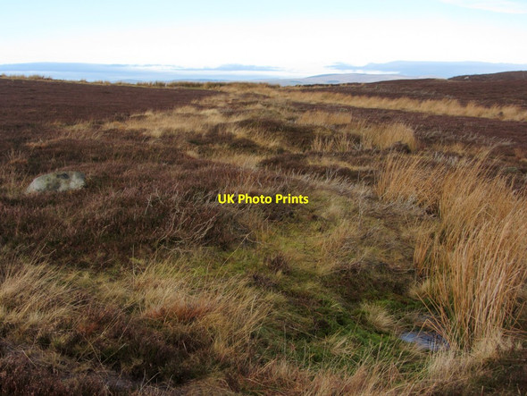 Photo 6"x4" First World War practice trenches above Cartington Cartington c2014 P1