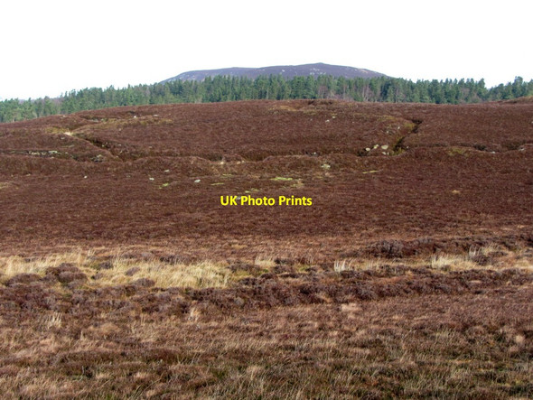 Photo 6"x4" First World War practice trenches above Cartington Cartington c2014