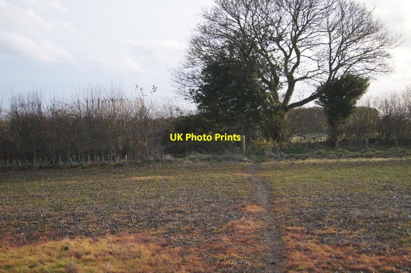 Photo 6"x4" Path across Borough Down Weston Colley c2013