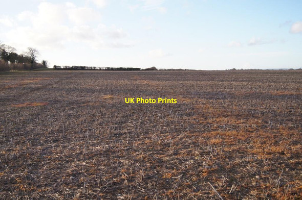 Photo 6"x4" Field atop Borough Down Weston Colley c2013