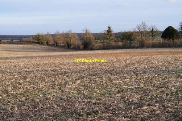 Photo 6"x4" Field north of Alresford Drove Weston Colley c2013