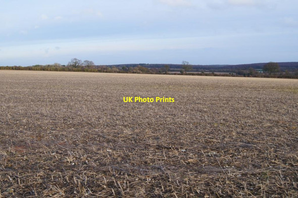 Photo 6"x4" Field on Borough Down Weston Colley c2013