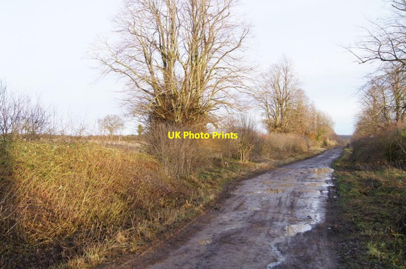 Photo 6"x4" Alresford Drove heading east Weston Colley c2013