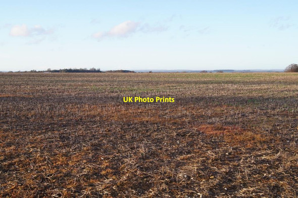 Photo 6"x4" Field on Borough Down Weston Colley c2013