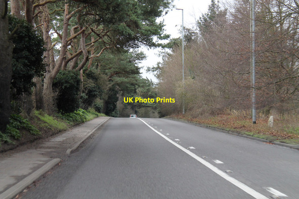 Photo 6"x4" A1067 past Drayton Wood Hellesdon c2014