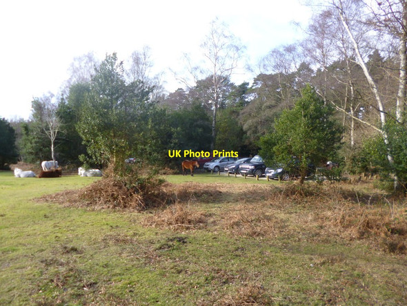 Photo 6"x4" Newtown, forestry car park Newtown\/SU2710 c2014