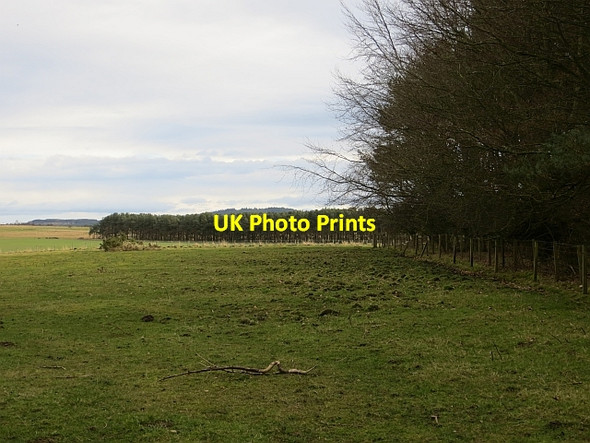 Photo 6"x4" Bar Moor Lowick\/NU0139 c2014