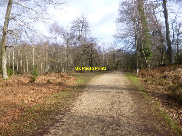 Photo 6"x4" Acres Down, track junction Newtown\/SU2710 c2014