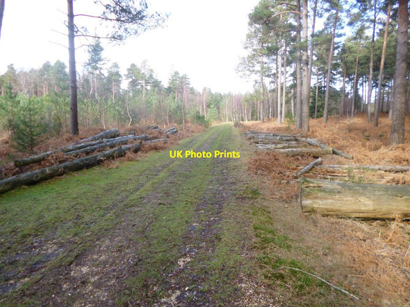 Photo 6"x4" Highland Water Inclosure, timber Stoney Cross c2014