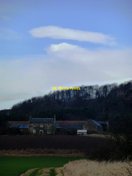 Photo 6"x4" Easter Balgarvie farm Cupar c2014