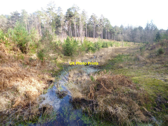 Photo 6"x4" Highland Water Inclosure, Bagshot Gutter Stoney Cross c2014